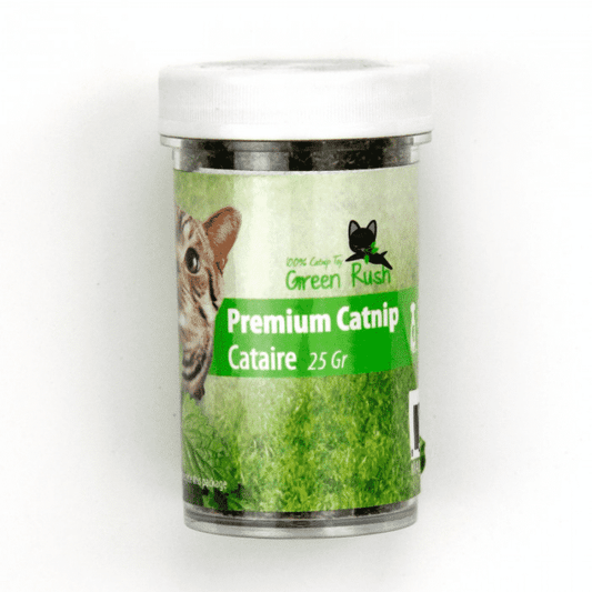 Herbe à chat Premium All For Paws 25Gr