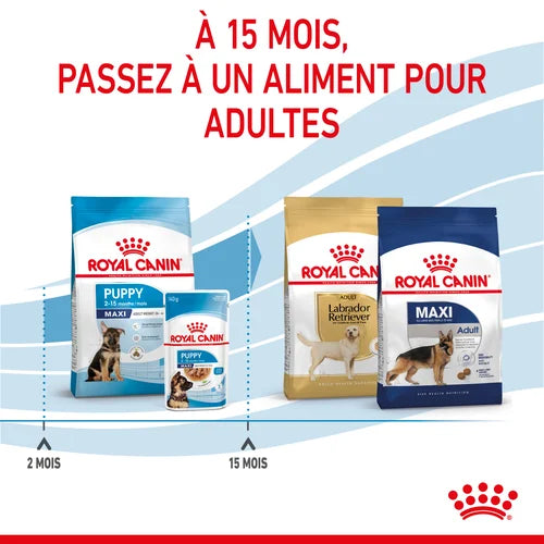 Royal Canin Maxi Puppy