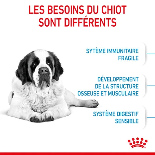 Royal Canin Giant Junior pour chiot 15 Kg