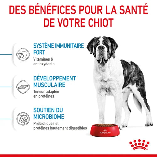 Royal Canin Giant Junior pour chiot 15 Kg