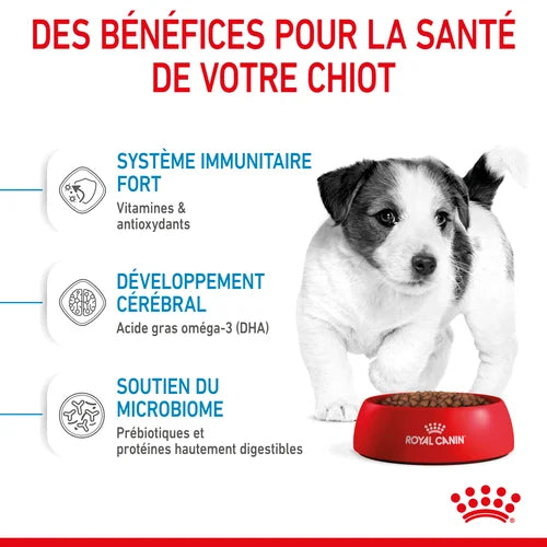 Royal Canin Mini Puppy