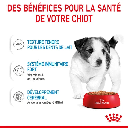 Royal Canin Mini Puppy Sauce - Sachet fraîcheur pour chiot 85 G