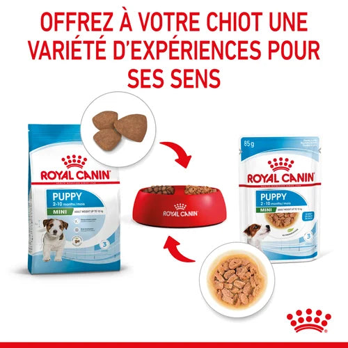 Royal Canin Mini Puppy Sauce - Sachet fraîcheur pour chiot 85 G