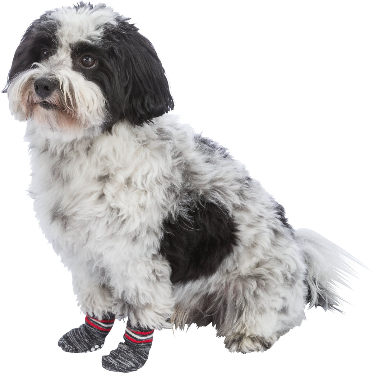 Chaussettes pour chiens